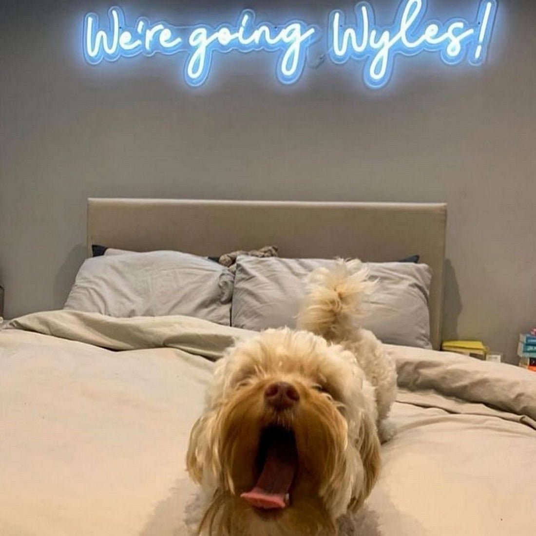 Were Going Wyles Led Sign Business Neon Sign - Shineneon