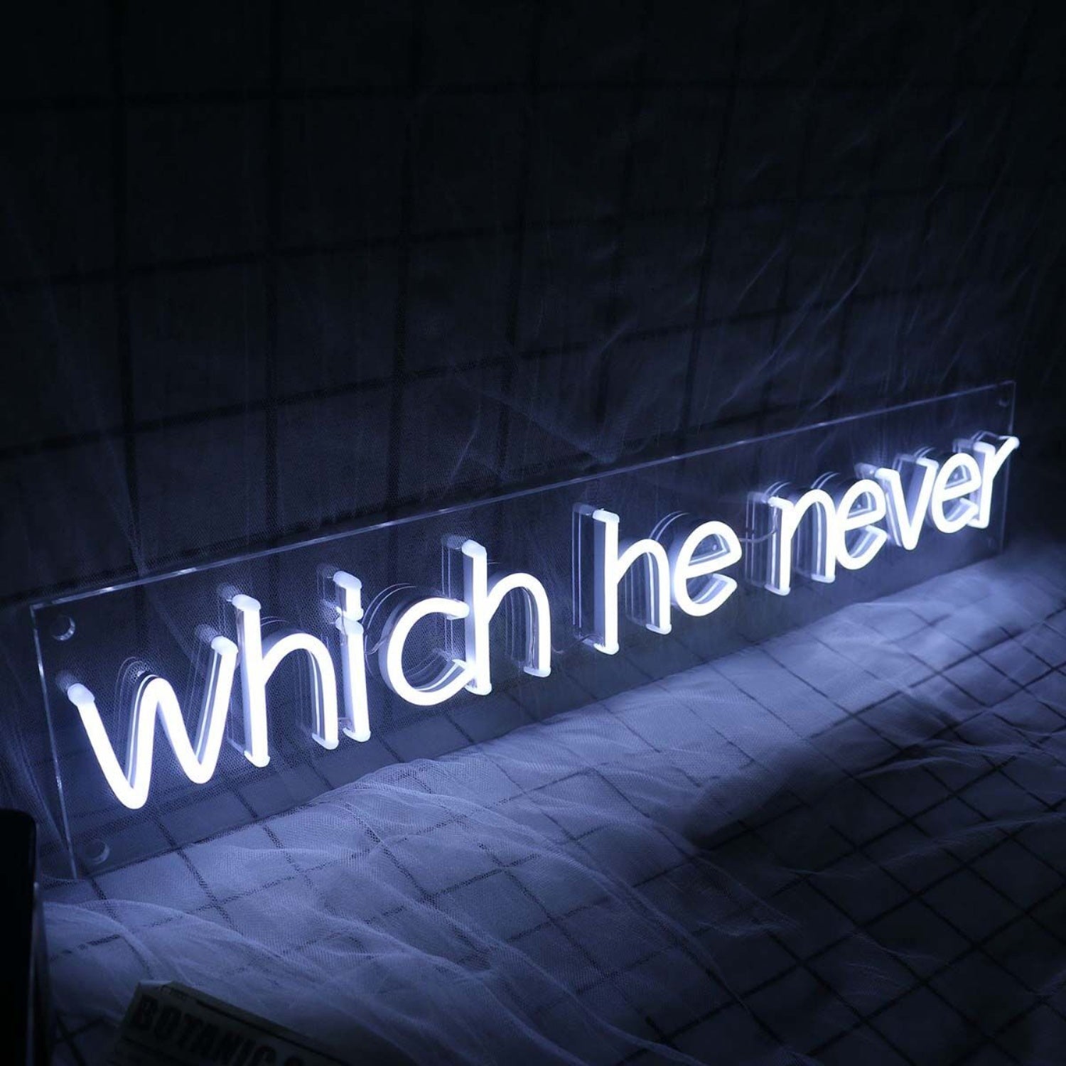 Which He Never White Led Neon Sign | Shineneon