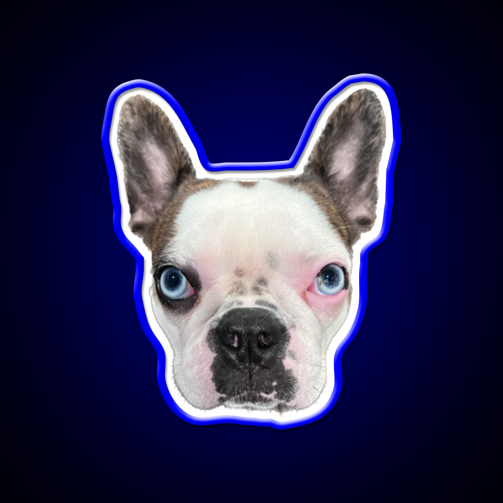 Whiskey Dog Whiskey Drink Bar Led Neon Sign Wall Art Rgb Color