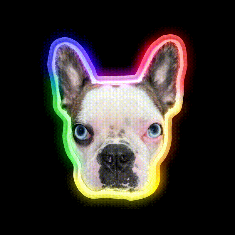 Whiskey Dog Whiskey Drink Bar Led Neon Sign Wall Art Rgb Color