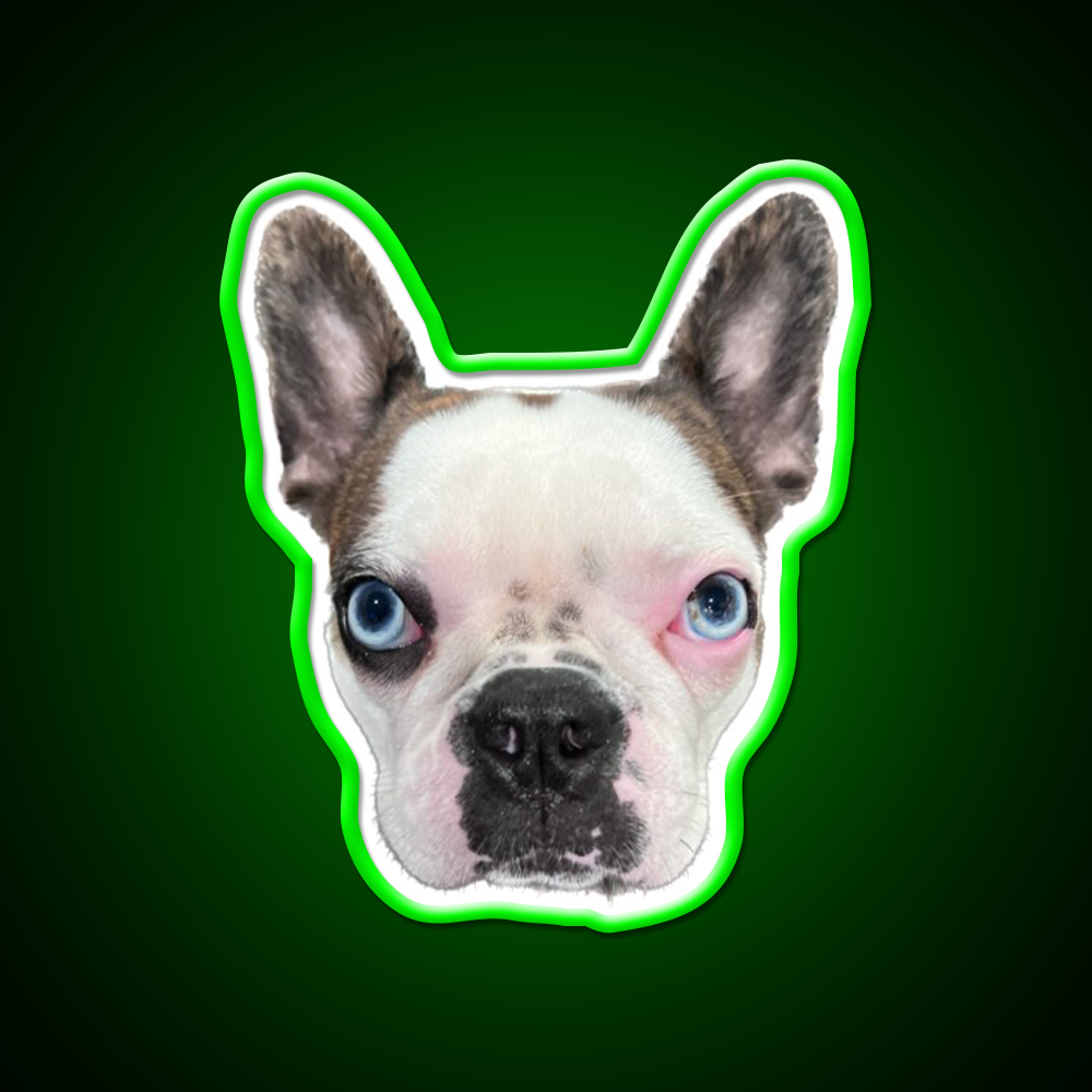 Whiskey Dog Whiskey Drink Bar Led Neon Sign Wall Art Rgb Color