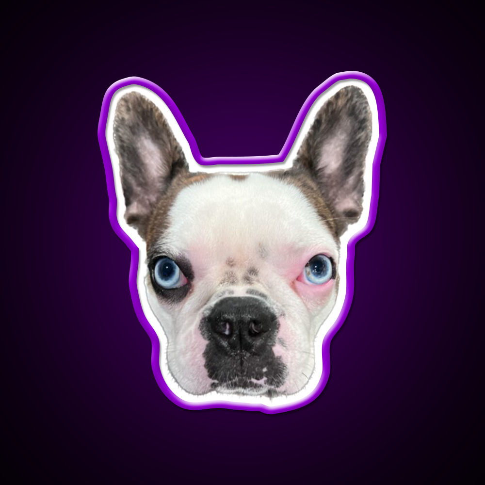 Whiskey Dog Whiskey Drink Bar Led Neon Sign Wall Art Rgb Color