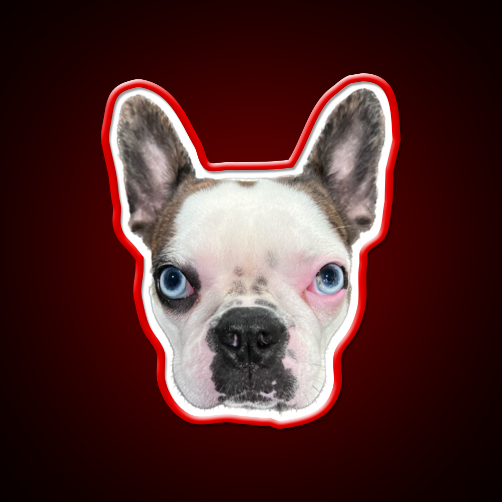 Whiskey Dog Whiskey Drink Bar Led Neon Sign Wall Art Rgb Color