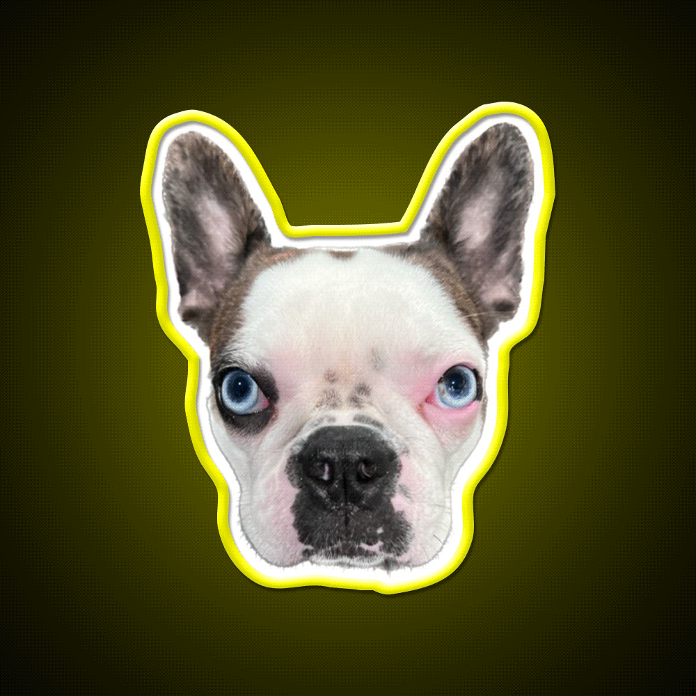 Whiskey Dog Whiskey Drink Bar Led Neon Sign Wall Art Rgb Color