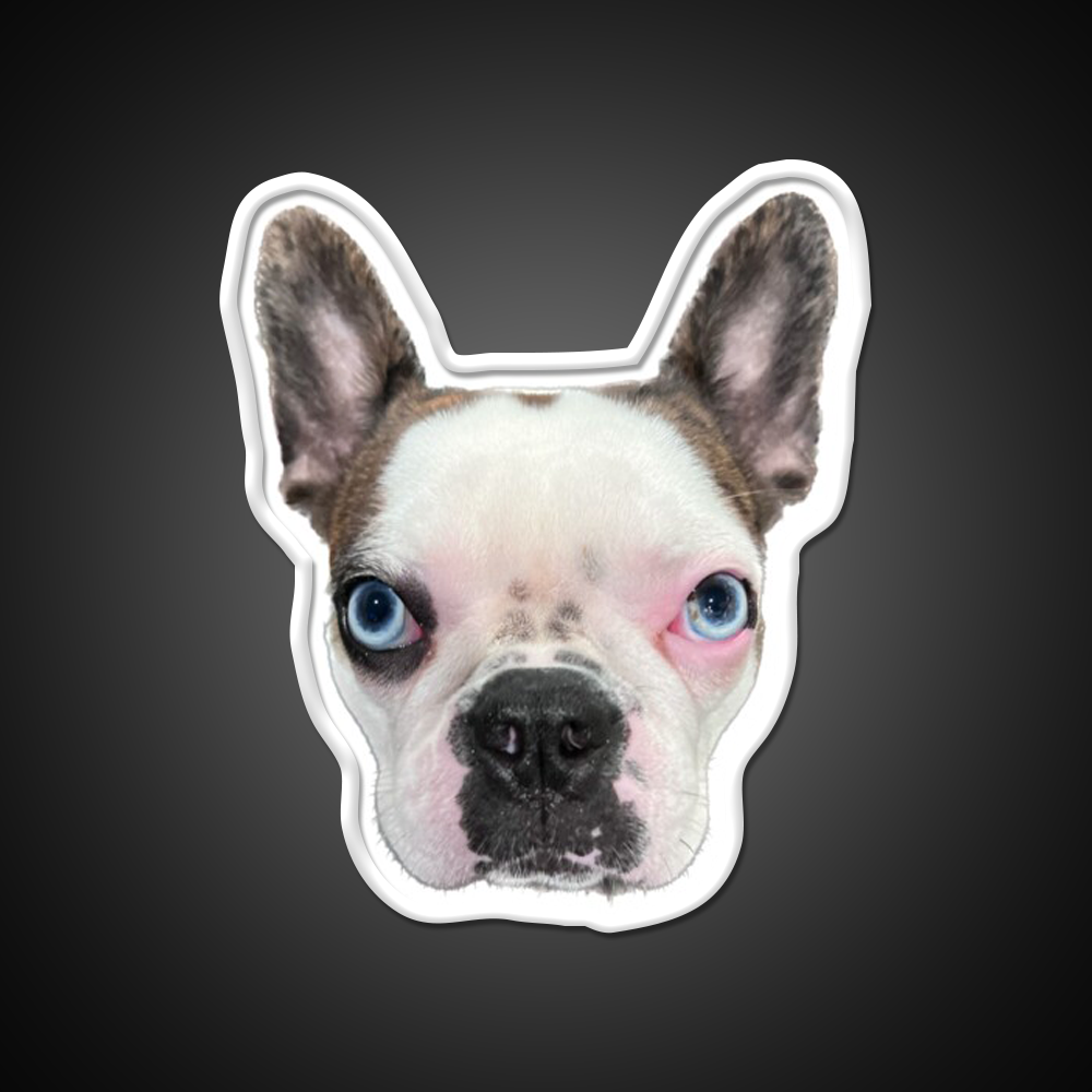 Whiskey Dog Whiskey Drink Bar Led Neon Sign Wall Art Rgb Color