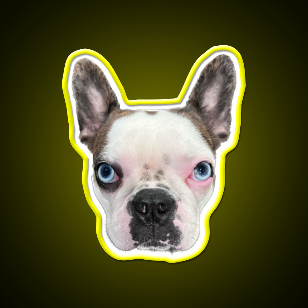 Whiskey Dog Whiskey Drink Bar Led Neon Sign Wall Art Rgb Color