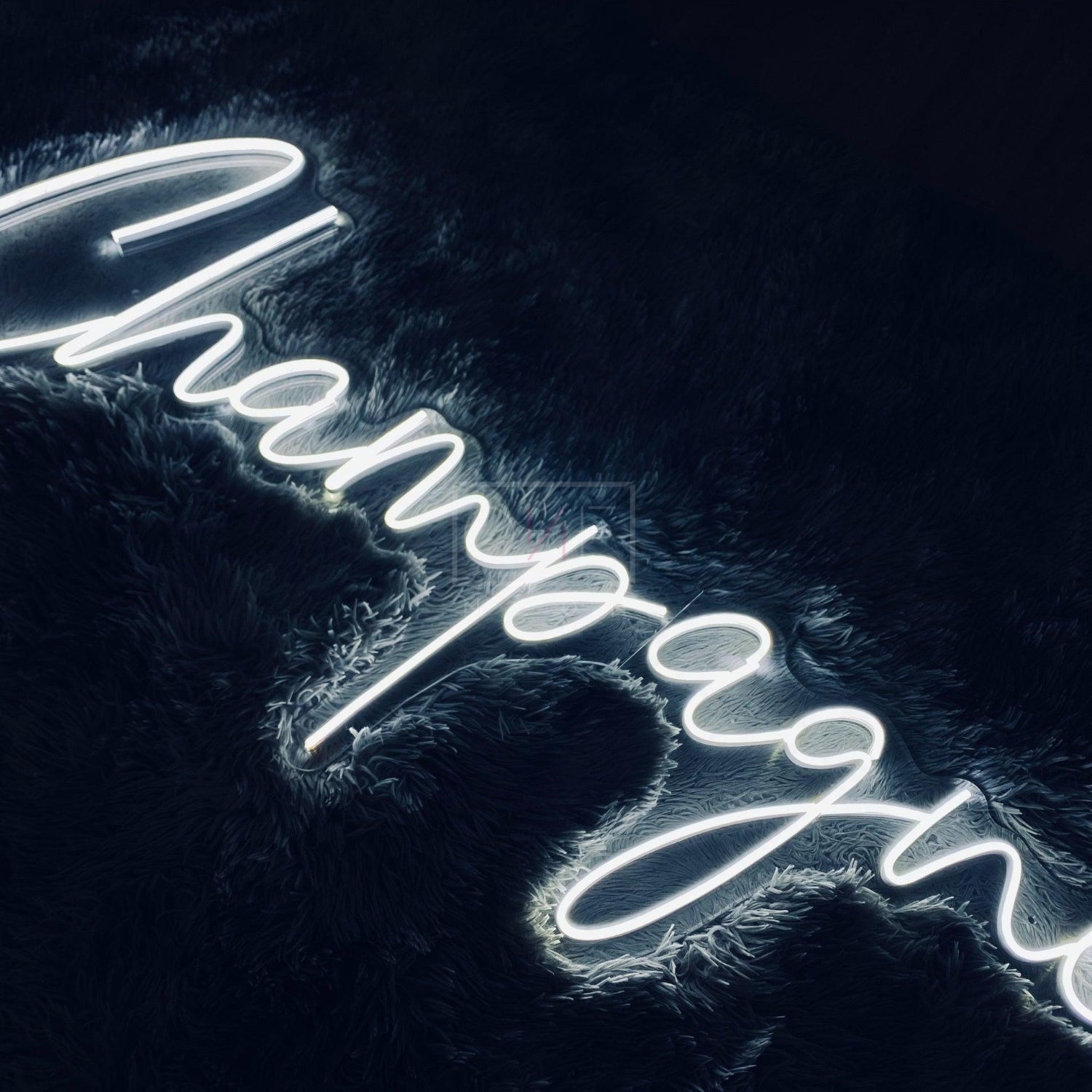 White Champagne Led Neon Sign For Bar Restaurant Party Decor | Shineneon
