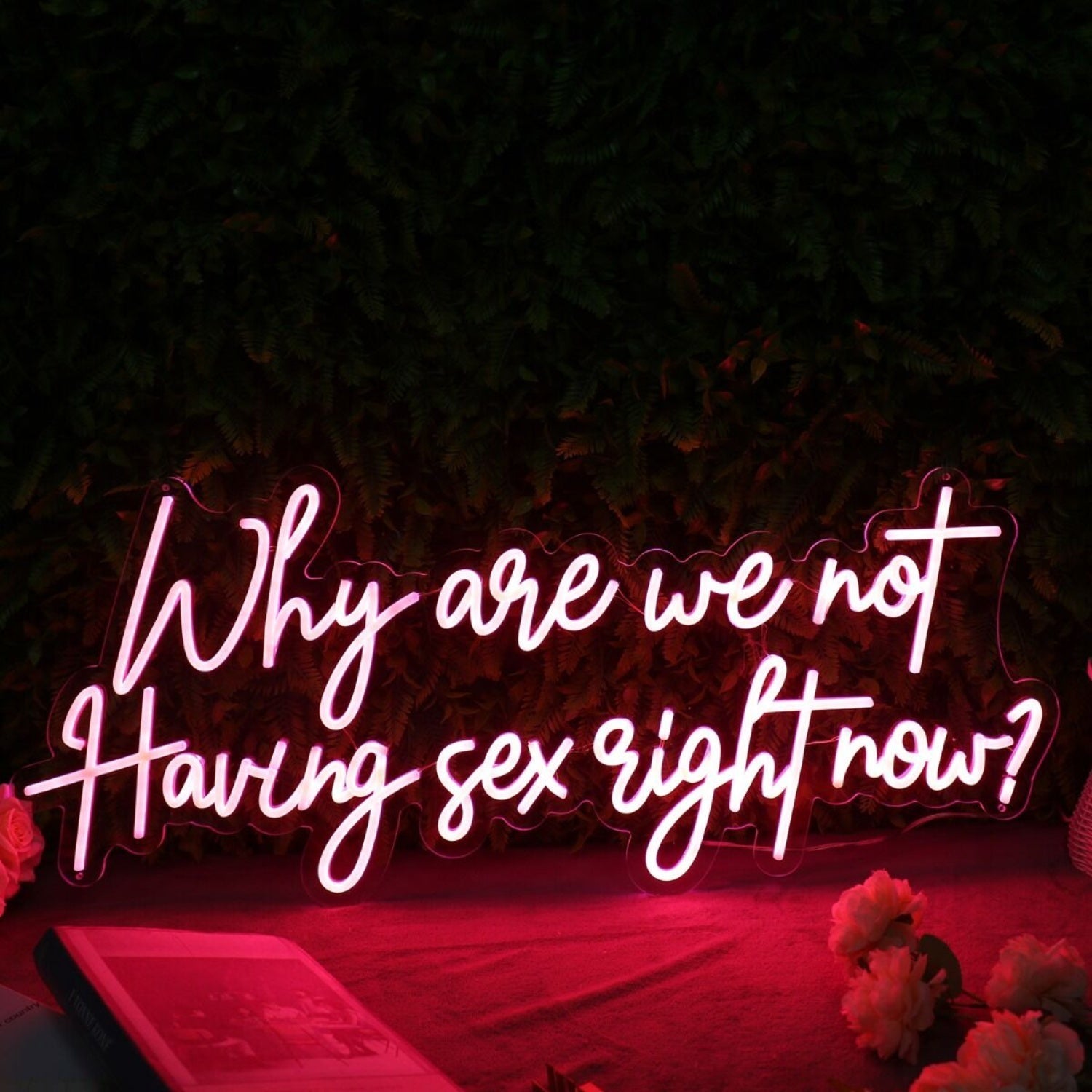 Why Are We Not Having Sex Right Now Red Led Neon Sign - Shineneon