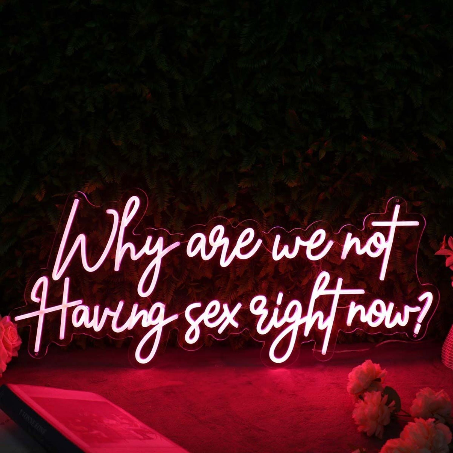 Why Are We Not Having Sex Right Now Red Led Neon Sign - Shineneon