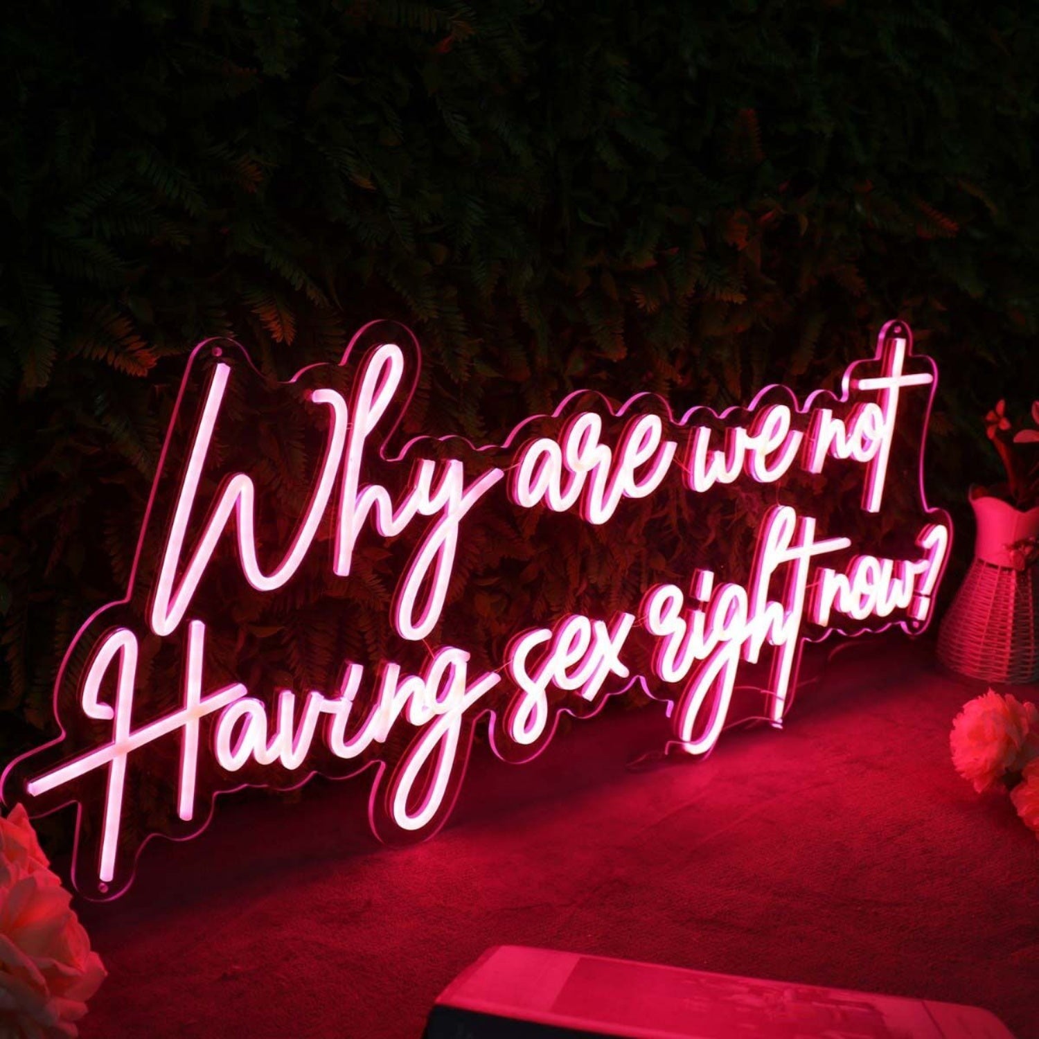 Why Are We Not Having Sex Right Now Red Led Neon Sign - Shineneon