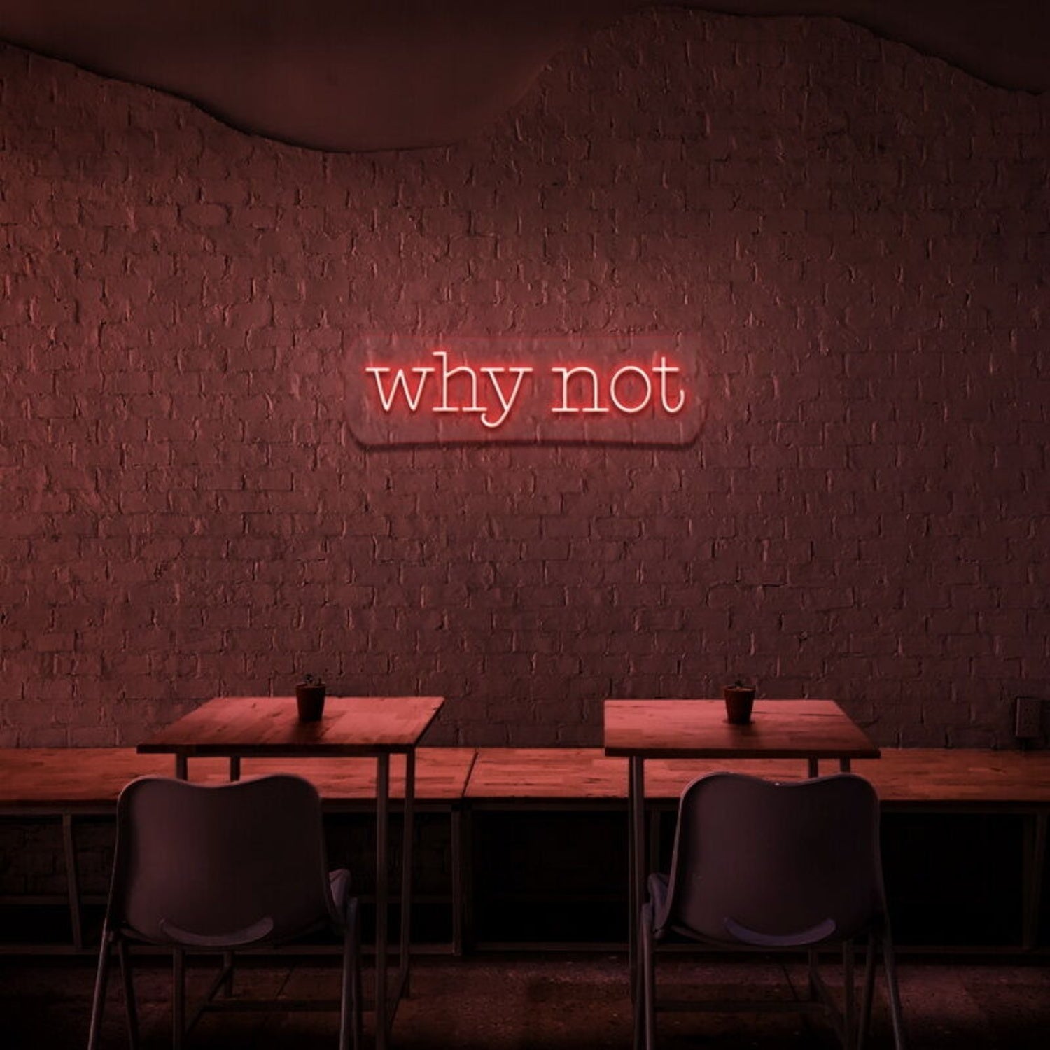 Why Not Led Neon Sign - Shineneon