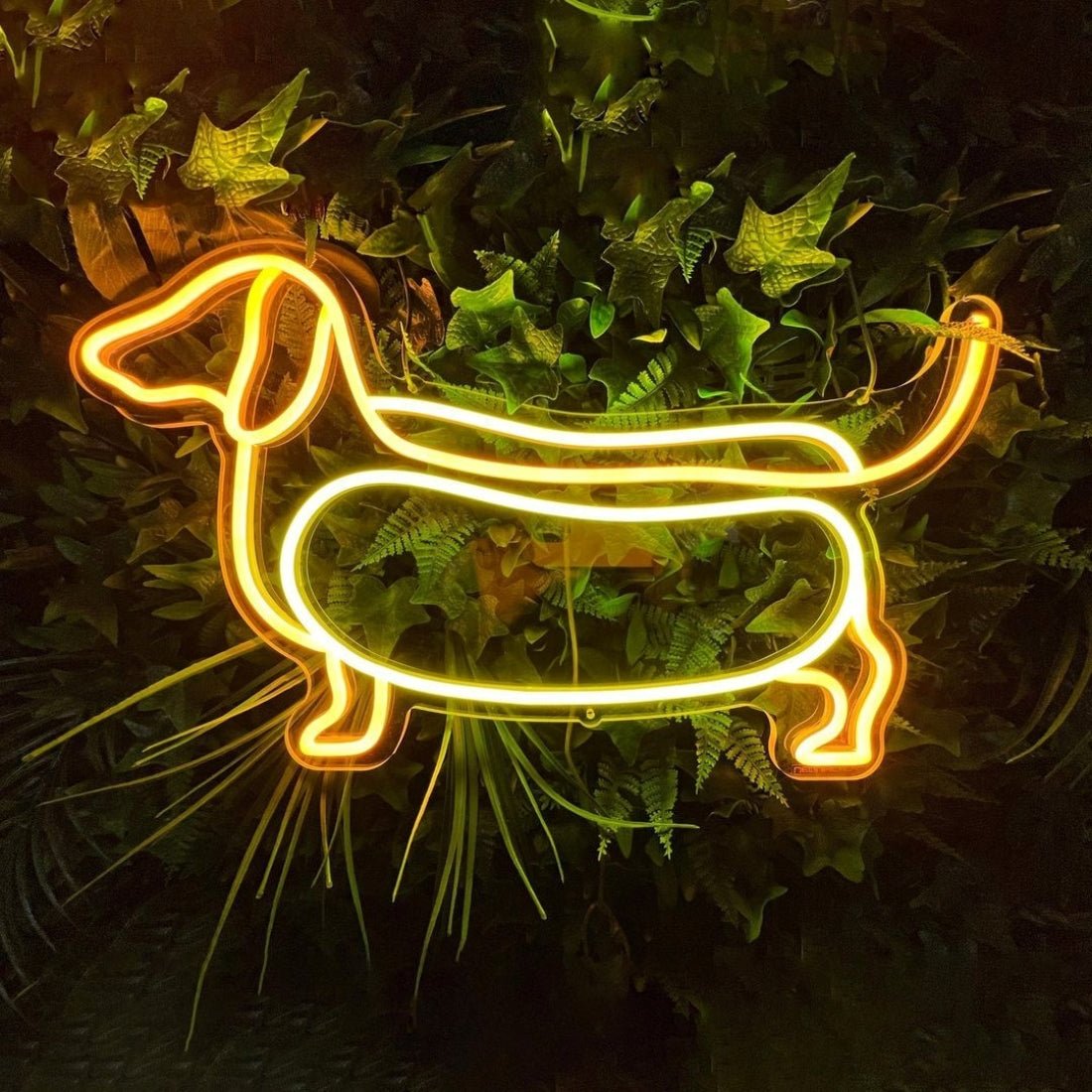 Wiener Dog Neon Signs Neon Lights Led Business Sign - Shineneon