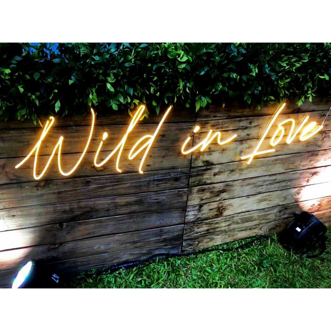 Wild In Love Led Sign Business Neon Sign - Shineneon