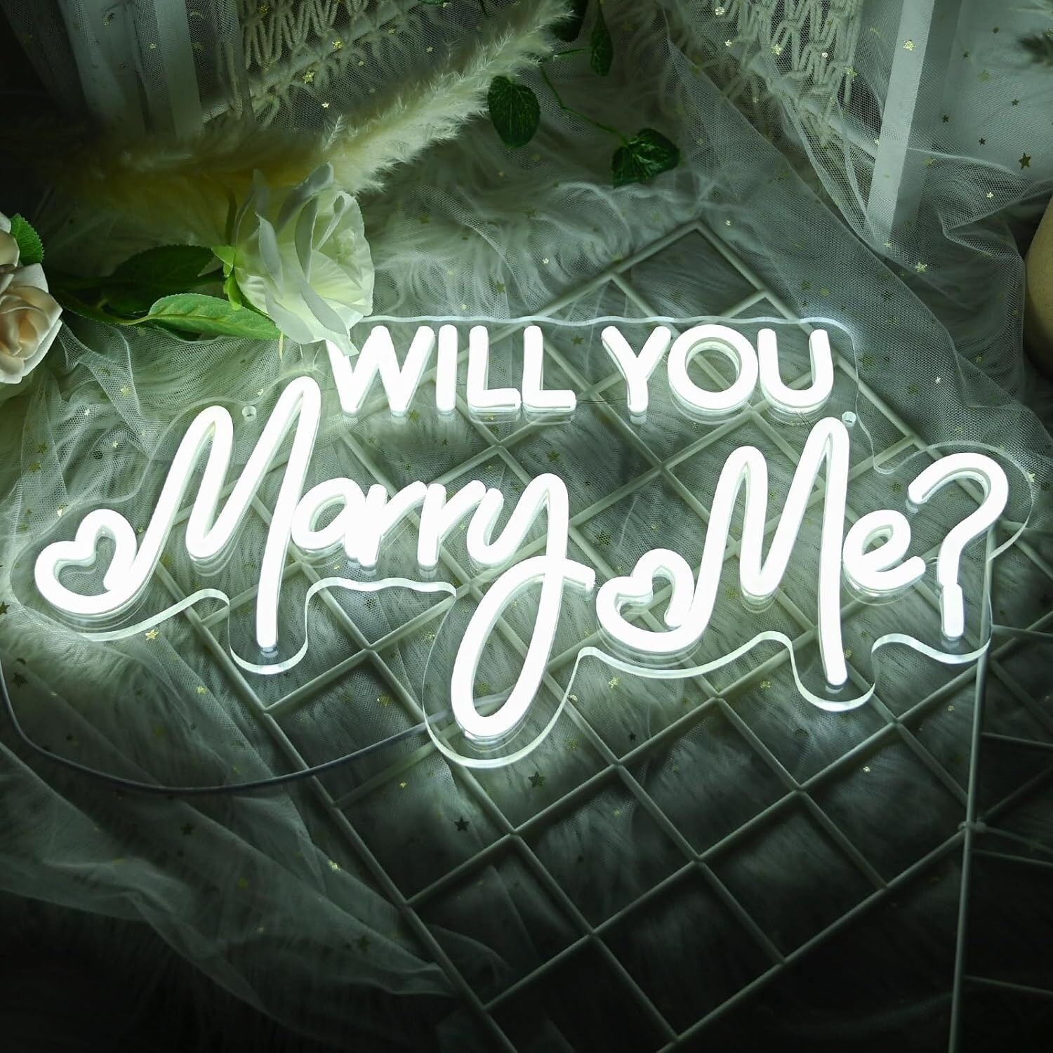 Will You Marry Me Neon Sign Proposal | Shineneon