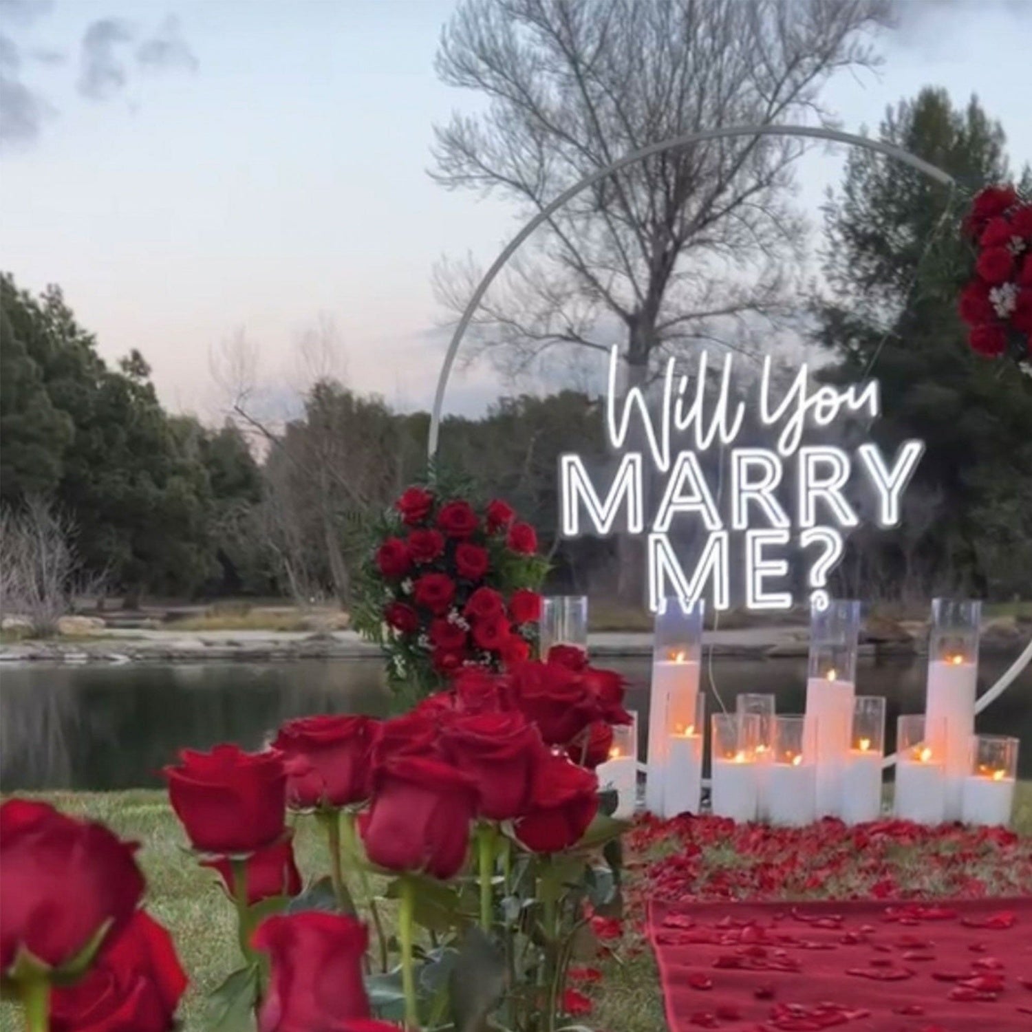 Will You Marry Me Neon Sign Wedding Party Decoration | Shineneon