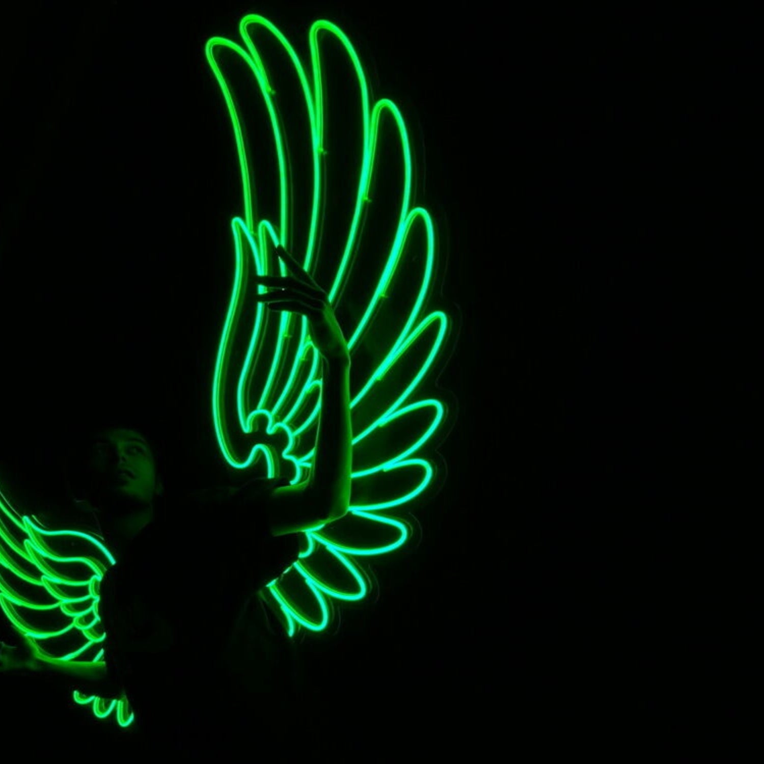 Wings V1 Led Neon Sign - Shineneon