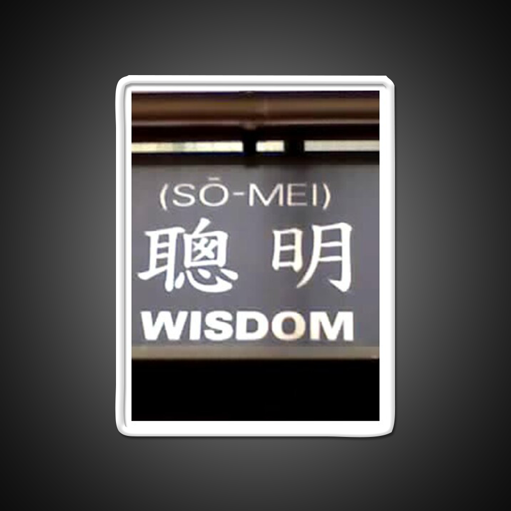 Wisdom In Chinese Characters Asian Cultural Led Neon Sign Rgb Color - LED neon sign view 11