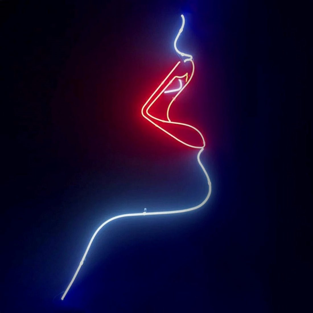 Woman Lips Led Sign Business Neon Sign - Shineneon