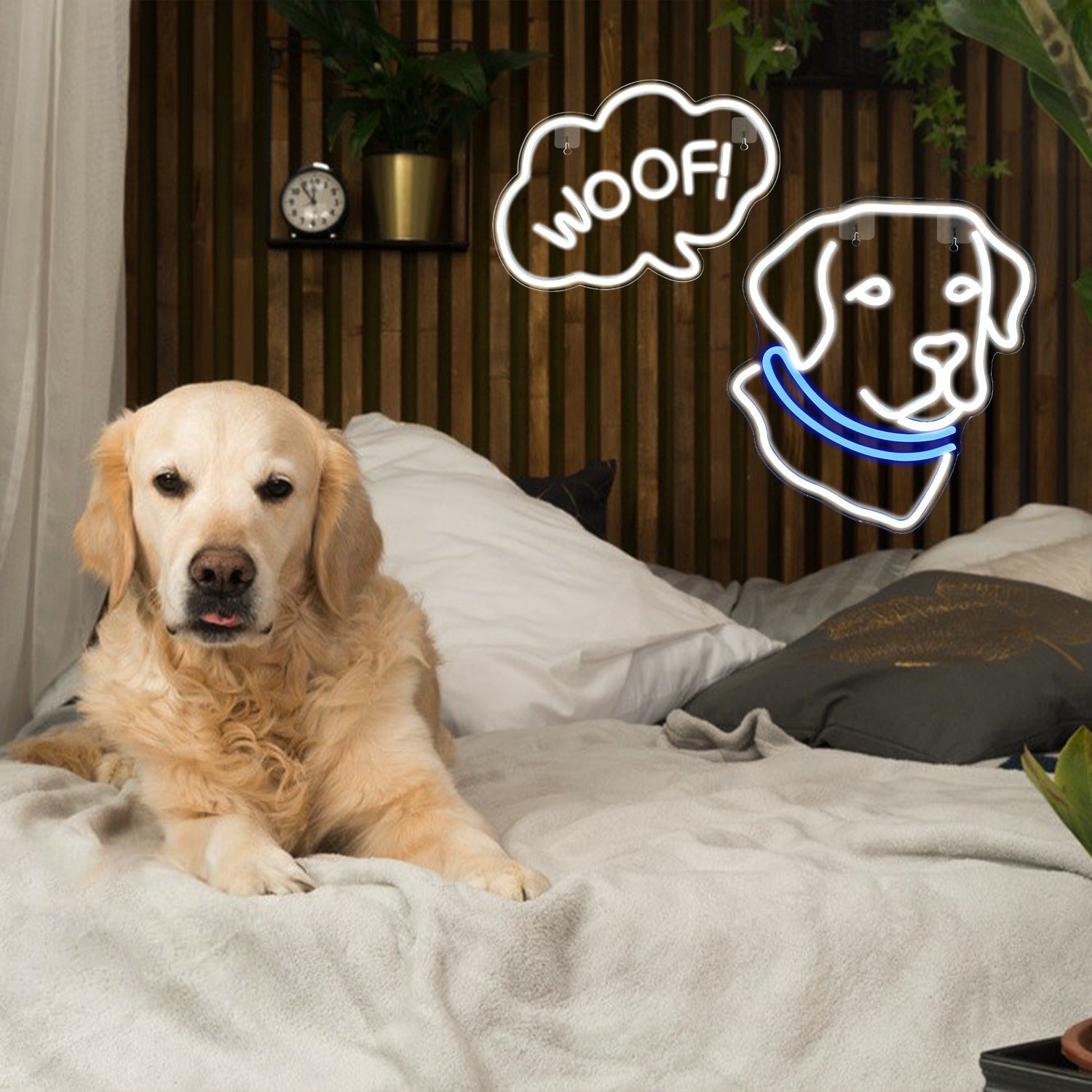 Woof Led Neon Sign For Pets House | Shineneon