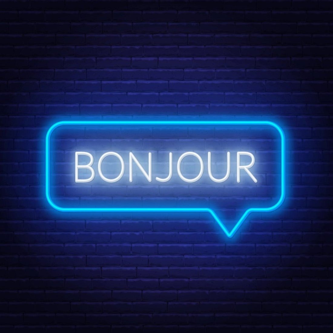 Word Bonjour In Speech Bubble Frame Led Sign Business Neon Sign - Shineneon