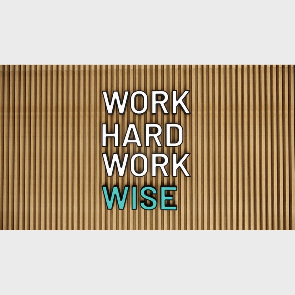 Work Hard Work Wise 3D Frontlit And Backlit Channel Letter Led Light Sign - Shineneon