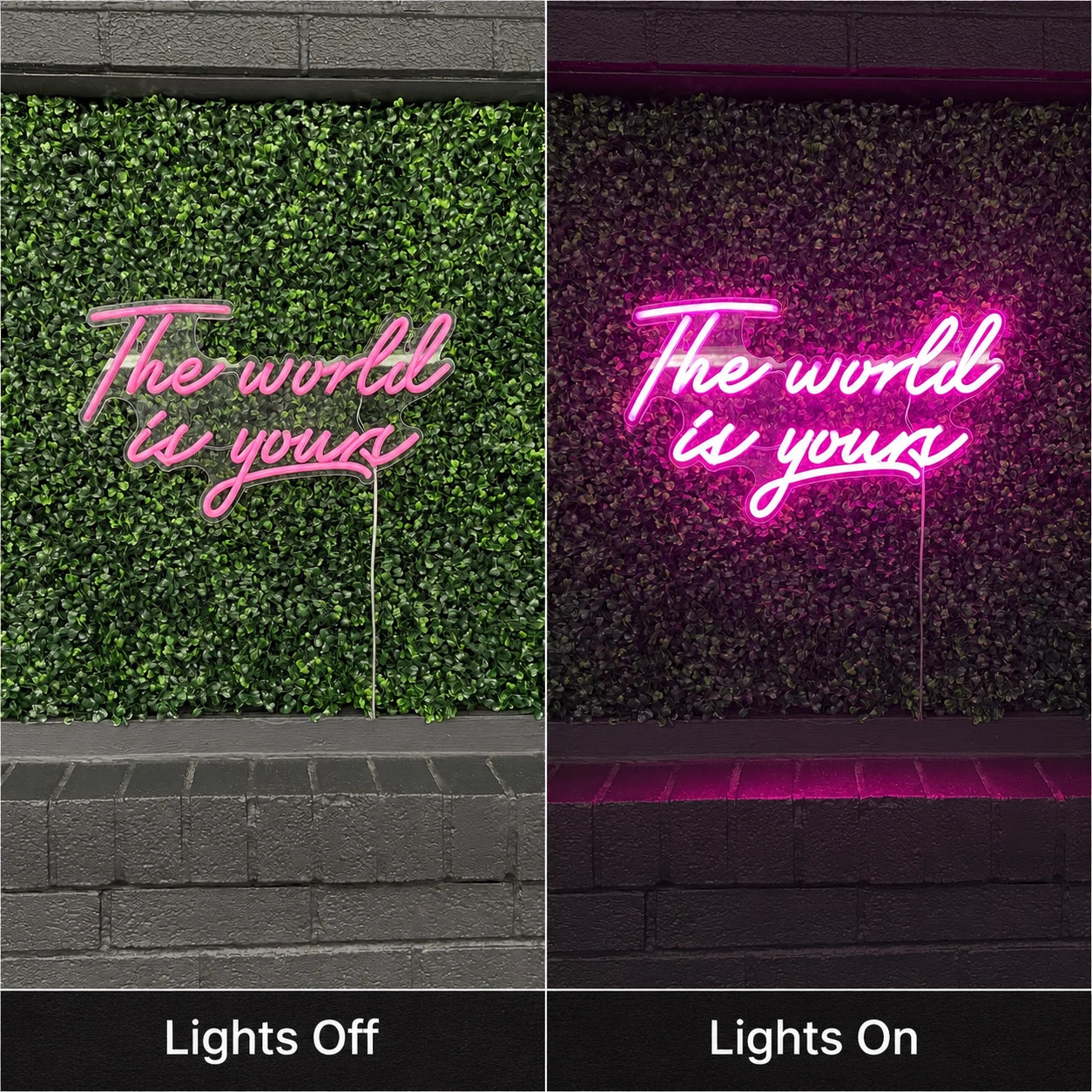 World Is Yours Neon Sign LED Neon Sign day and night comparison