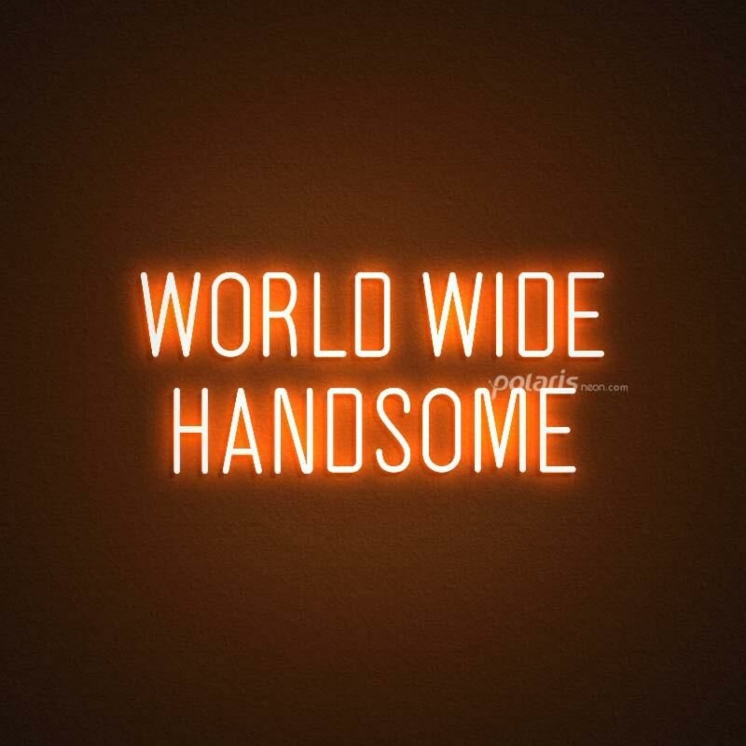 World Wide Handsome Led Neon Sign | Shineneon
