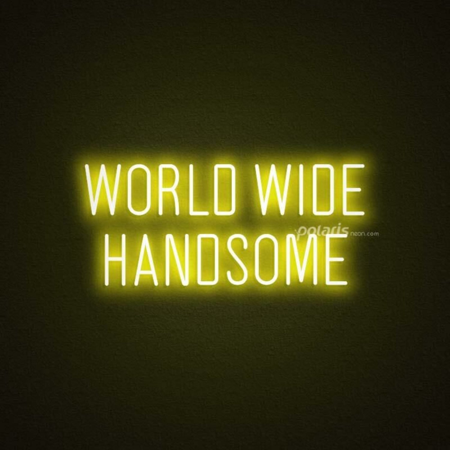 World Wide Handsome Led Neon Sign | Shineneon