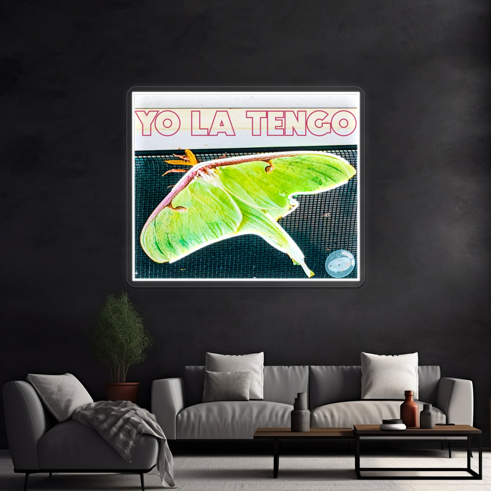 Yo La Tengo Artwork Led Neon Signs | Shineneon