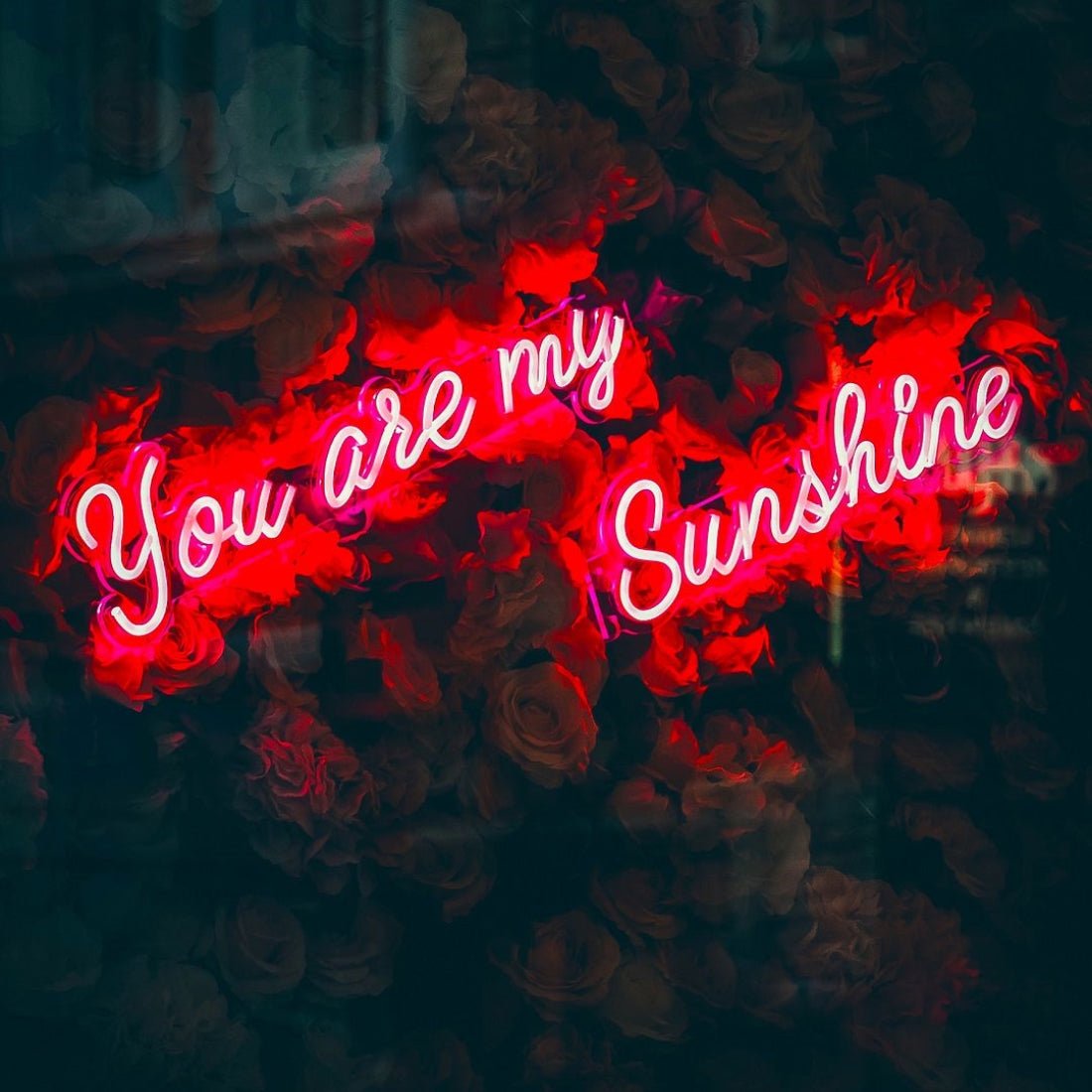 You Are My Sunshine Neon Art Sign For Wall Sign Led Business Sign - Shineneon