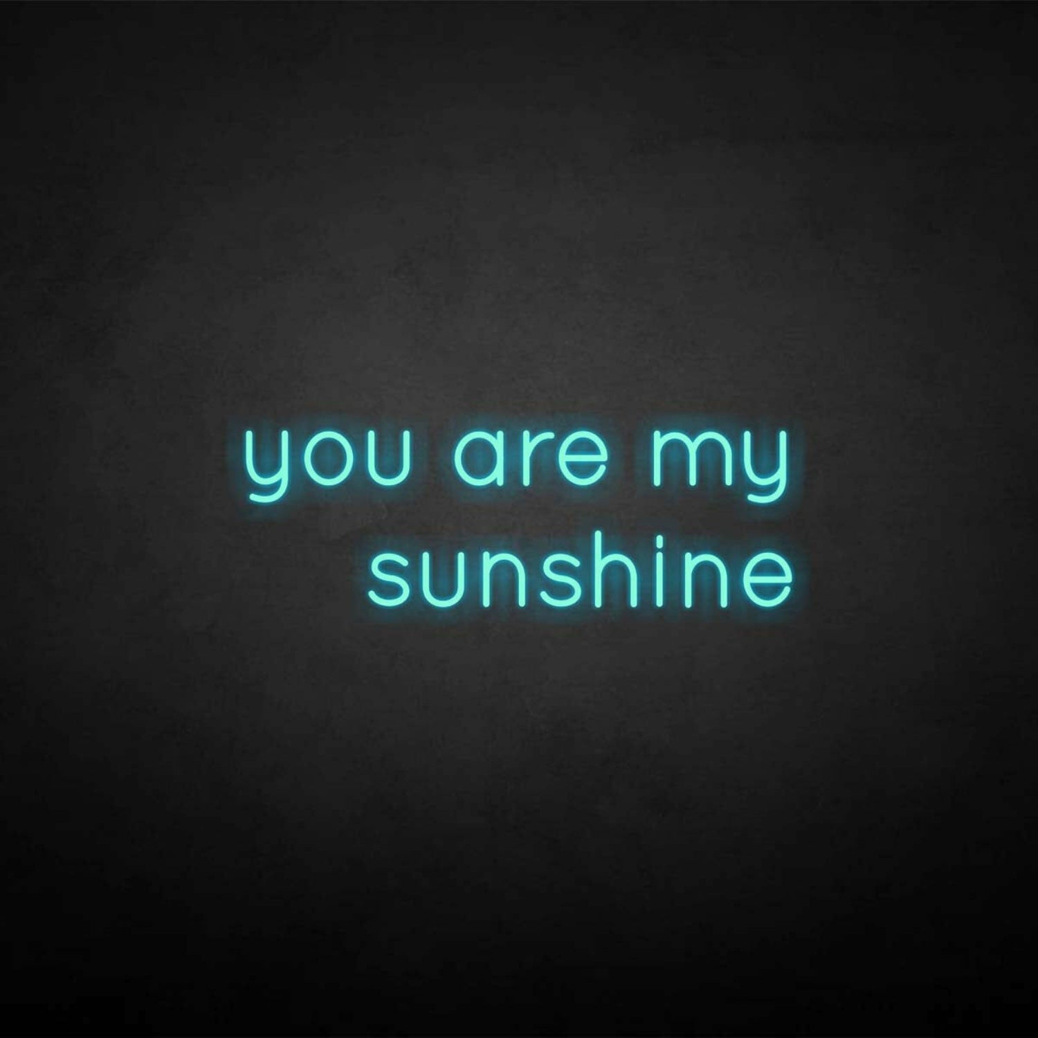 You Are My Sunshine Neon Sign | Shineneon