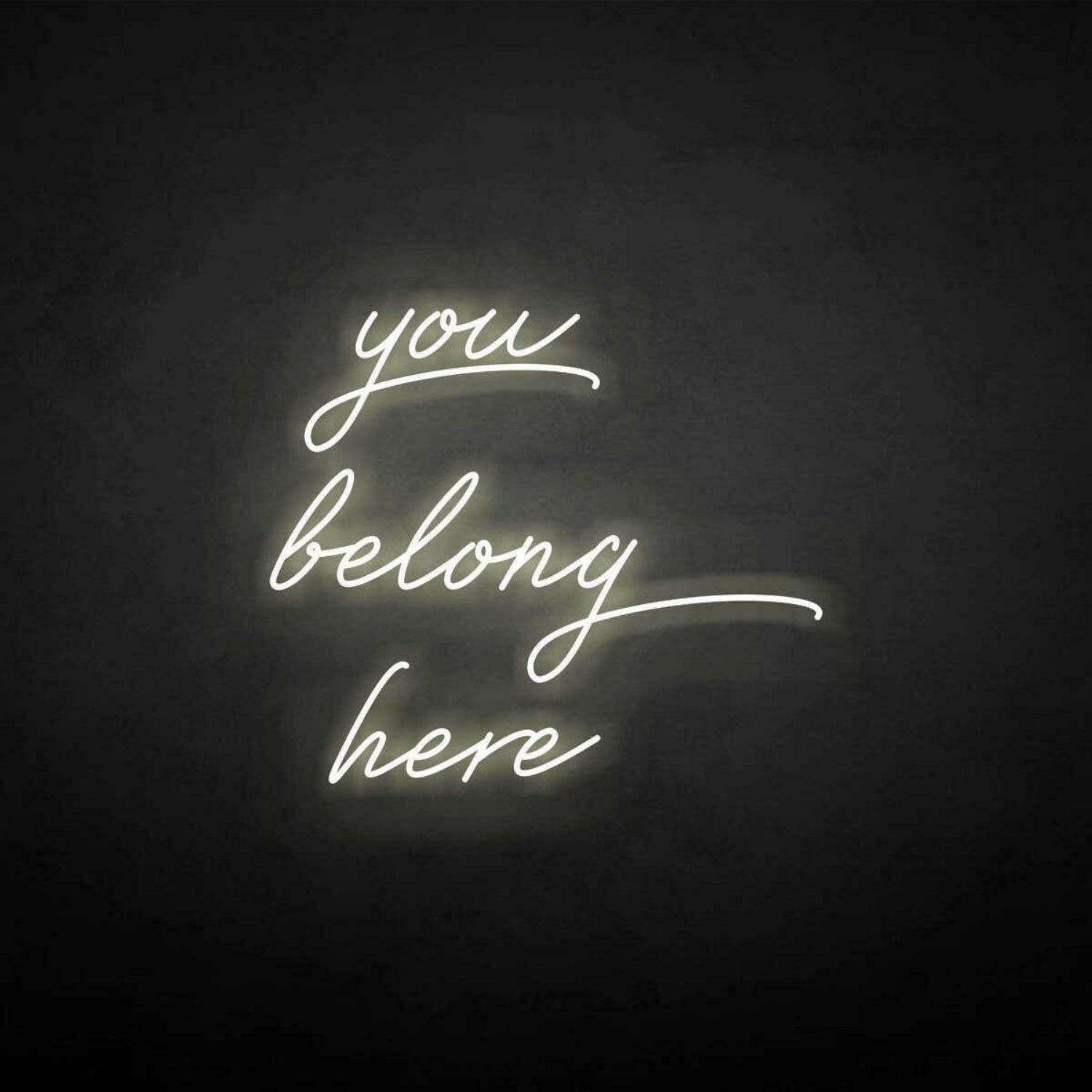 You Belong Here Neon Sign | Shineneon