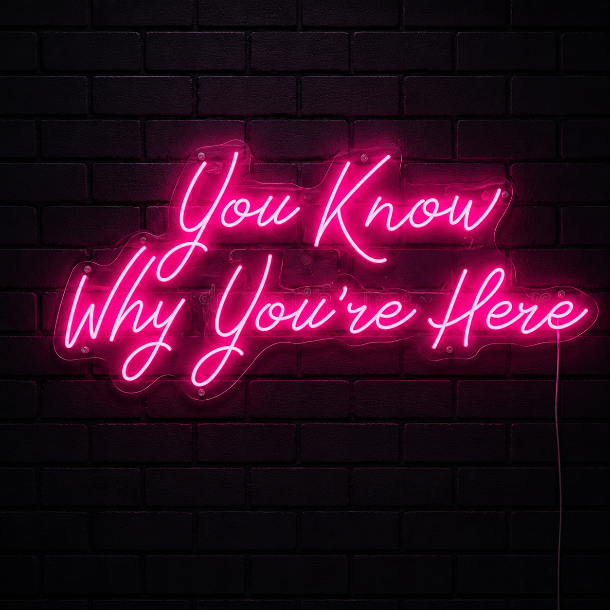 You Know Why You're Here LED Neon Sign - 02 High-Converting Product Image