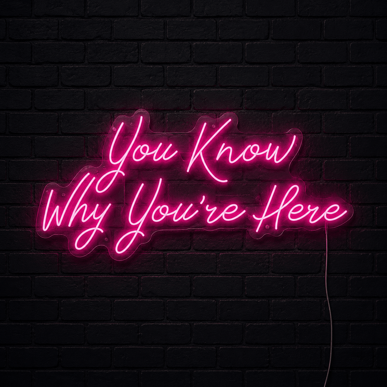 You Know Why You're Here LED Neon Sign - Shineneon