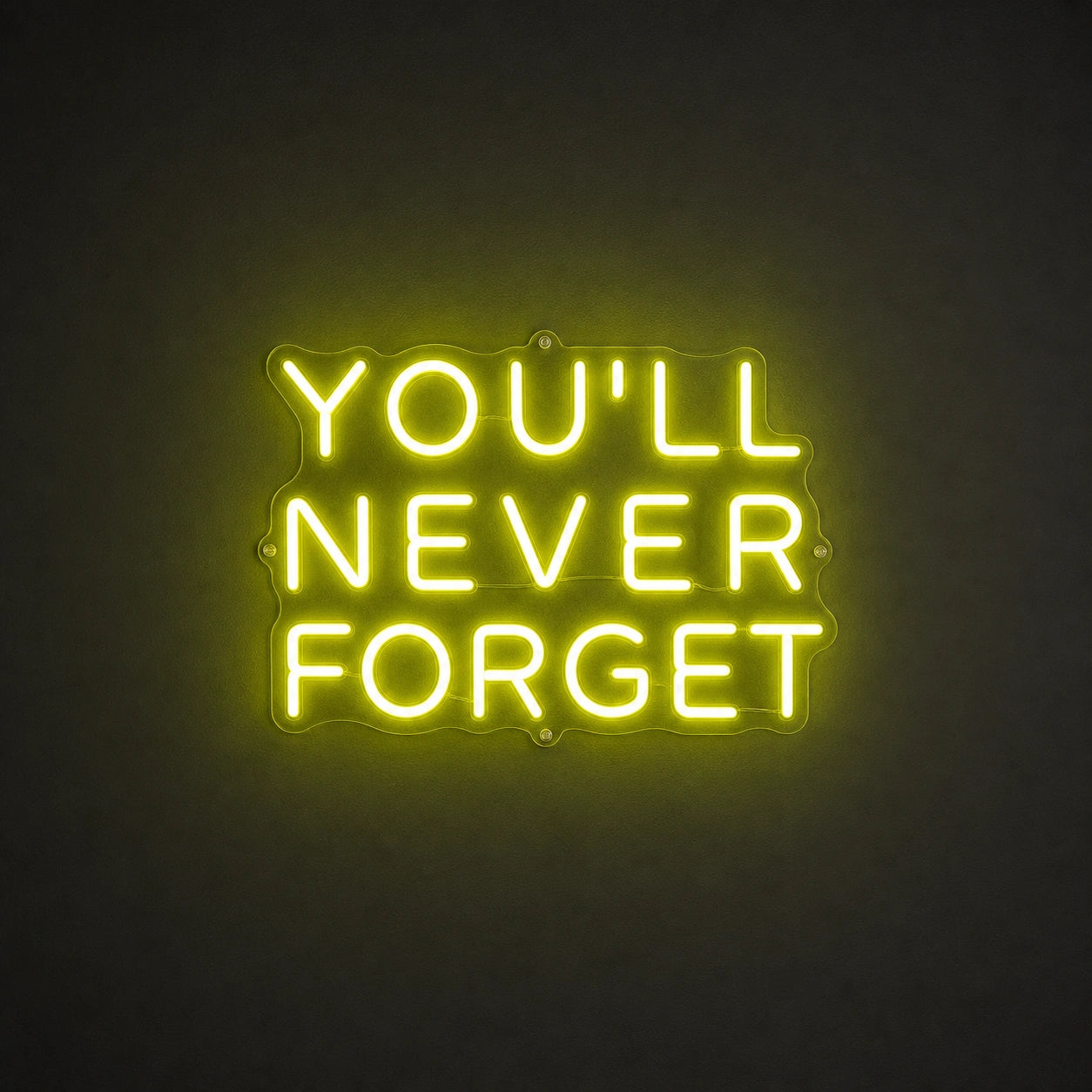 You Ll Never Forget LED Neon Sign main product image