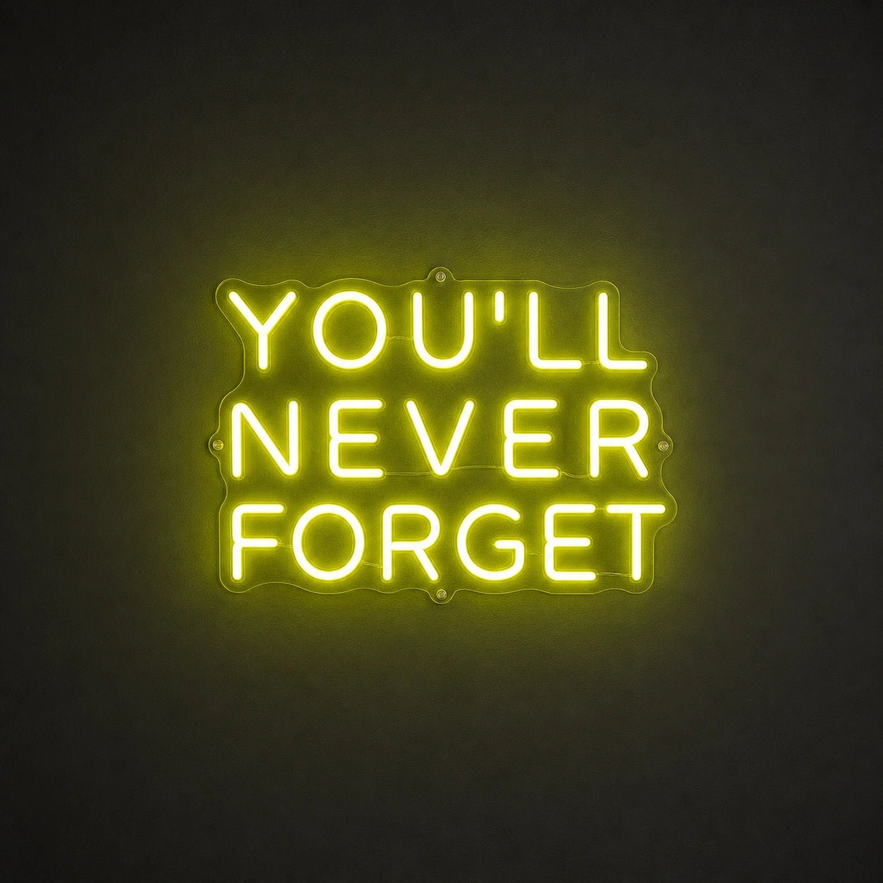 You Ll Never Forget LED Neon Sign - Shineneon