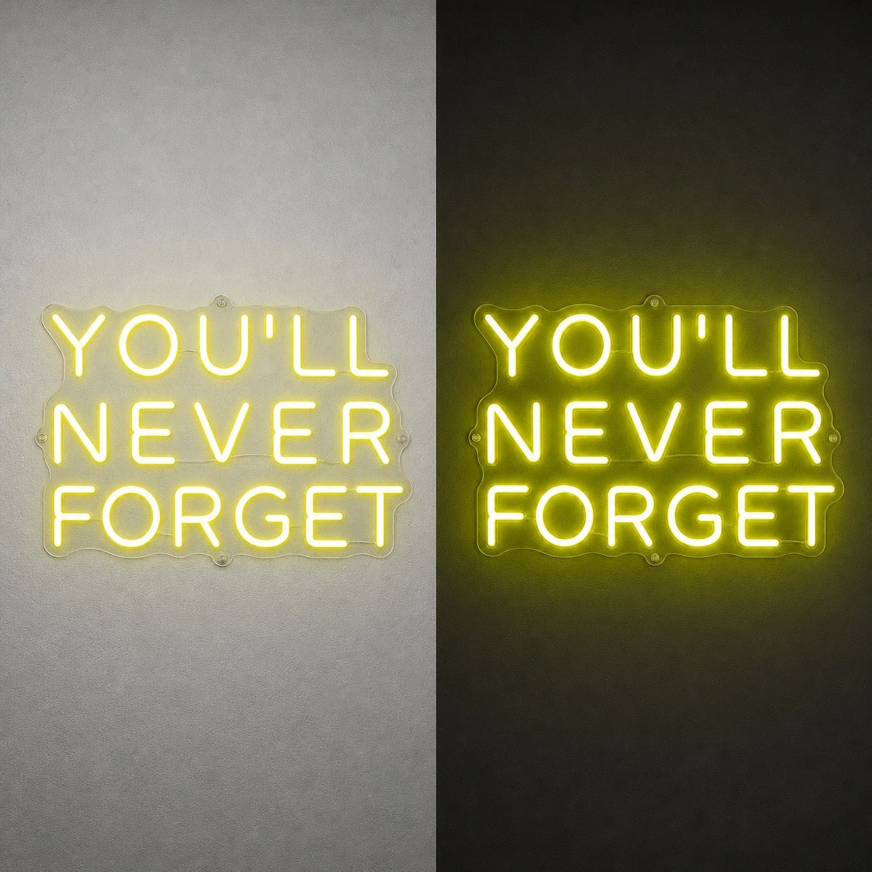 You Ll Never Forget LED Neon Sign - Shineneon