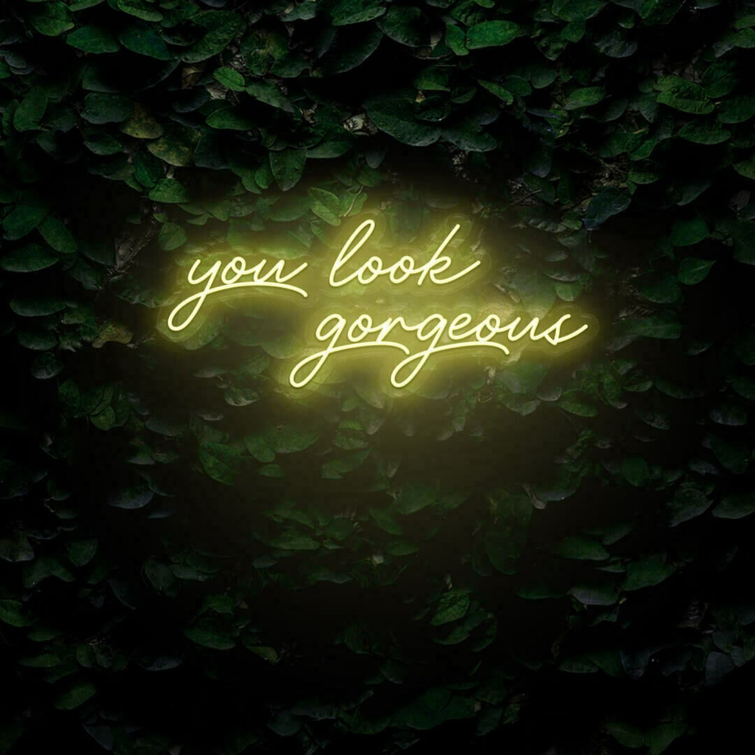 You Look Gorgeous Led Sign | Shineneon