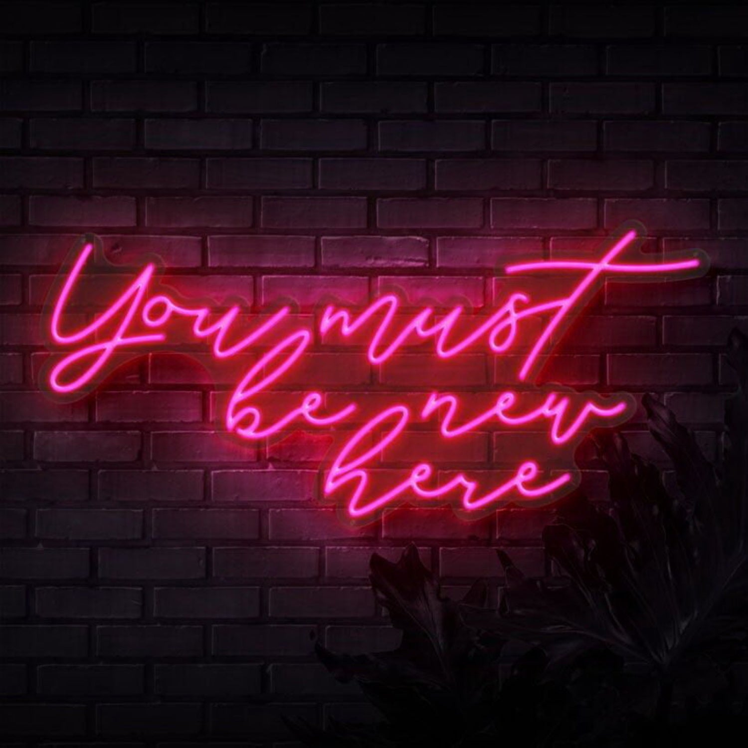 You Must Be New Here Led Neon Sign - Shineneon