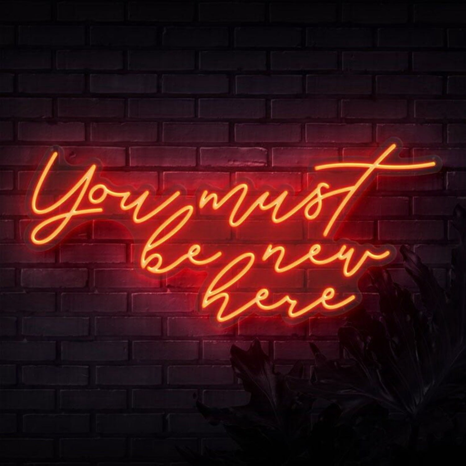 You Must Be New Here Led Neon Sign - Shineneon