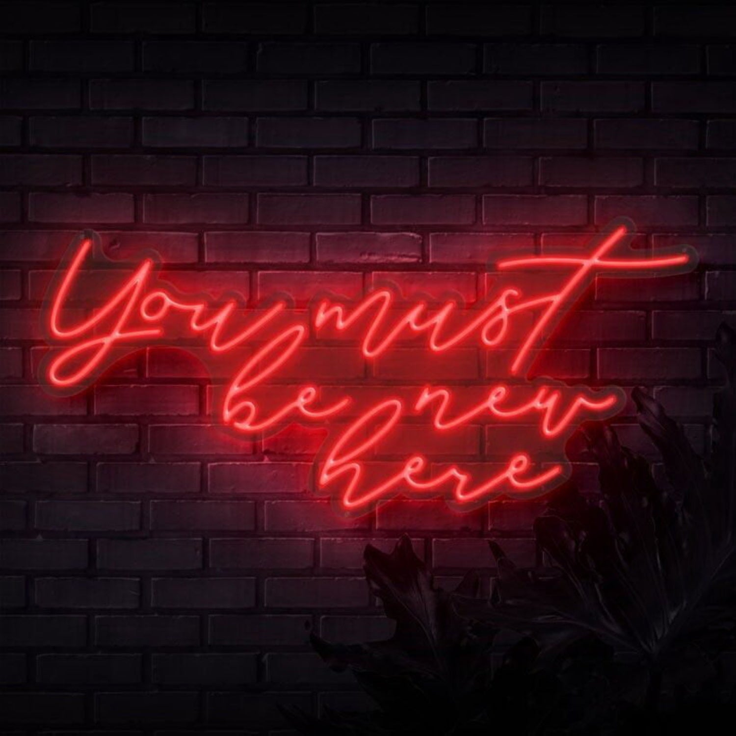 You Must Be New Here Led Neon Sign - Shineneon