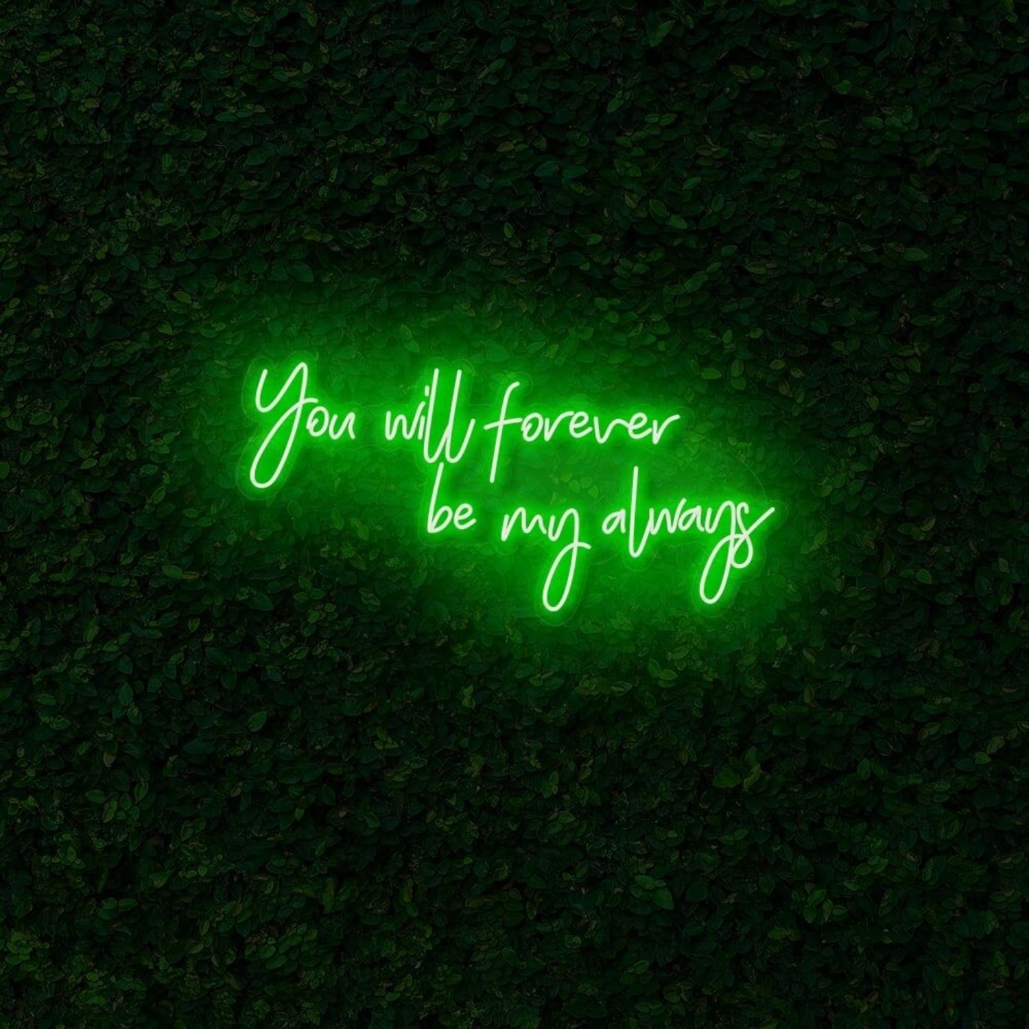 You Will Forever Be My Always Led Neon Sign | Shineneon