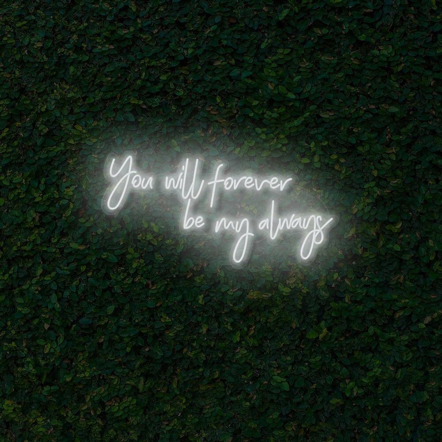 You Will Forever Be My Always Led Neon Sign | Shineneon