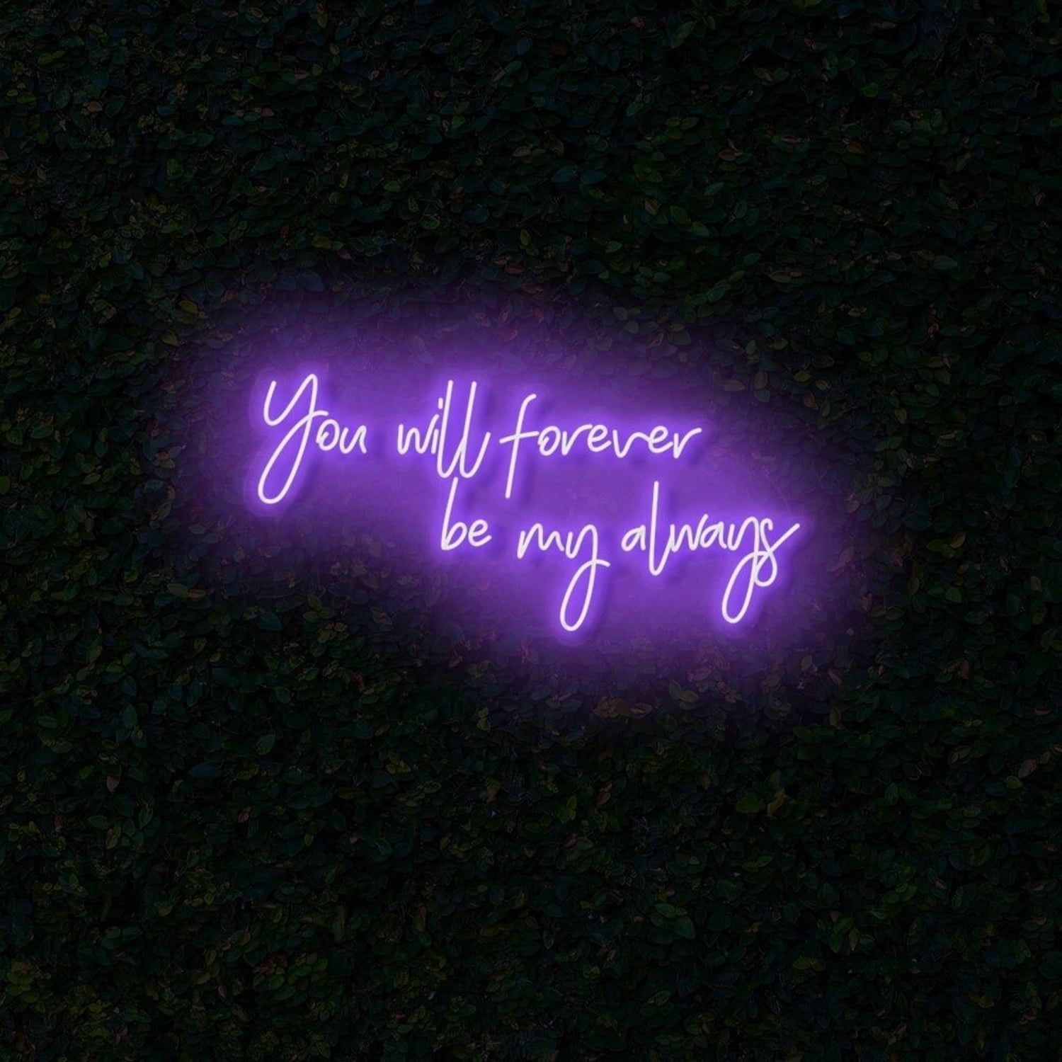 You Will Forever Be My Always Led Neon Sign | Shineneon