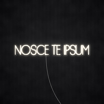 NOSCE TE IPSUM Know Thyself Neon Sign - Shineneon