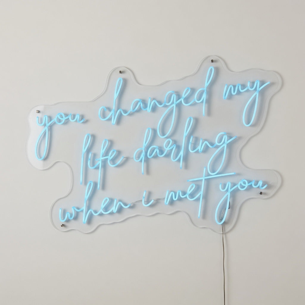 You Changed My Life Darling When I Met You LED Neon Sign - Shineneon