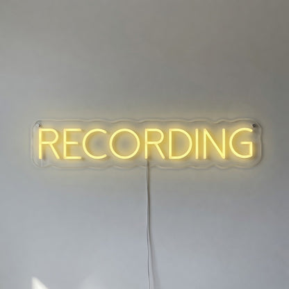 Recording LED Neon Sign - Shineneon