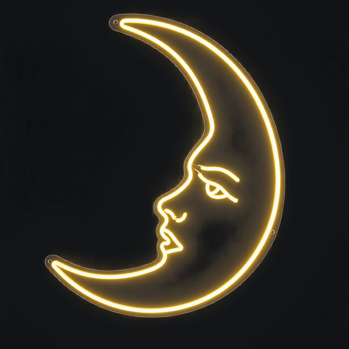Moon LED Neon Sign Wall Neon Signs - Shineneon