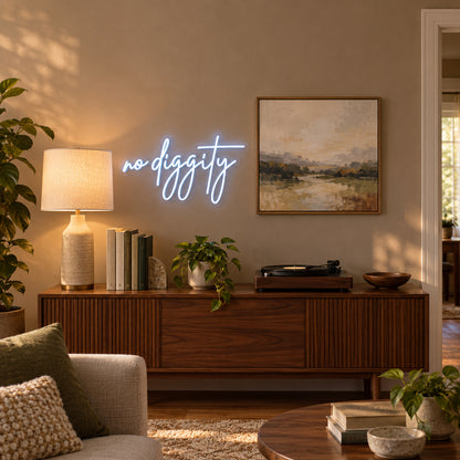 No Diggity LED Neon Sign Dimmable Wall Light - Installation Scene
