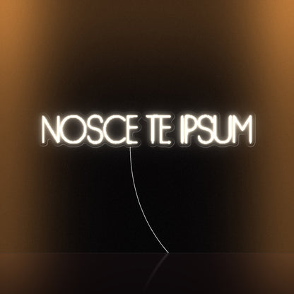 NOSCE TE IPSUM Know Thyself Neon Sign - Shineneon